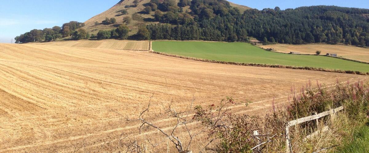 A hilly landscape with a prominent hill, fields, and a clear blue sky.