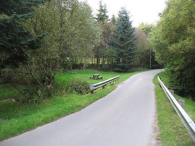 Uma estrada estreita serpenteando por uma área arborizada, com bancos ao longo do caminho.