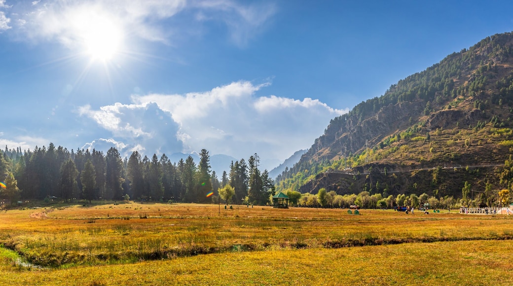 Serene Landscape of Betaab or Hajan valley near Phalgam town in Anantnag district of Jammu and Kashmir, India. Phalgam is a popular tourist destination for trekking and Amarnath holy pilgrimage.