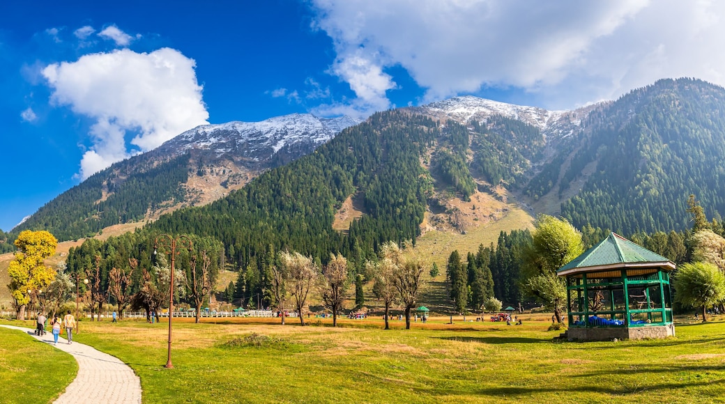 Serene Landscape of Betaab or Hajan valley near Phalgam town in Anantnag district of Jammu and Kashmir, India. Phalgam is a popular tourist destination for trekking and Amarnath holy pilgrimage.