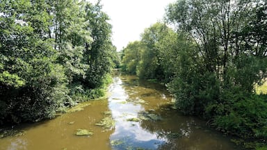 Alte Jeetzel River near Langenhorst in the district Luechow-Dannenberg in Lower Saxony, Germany.