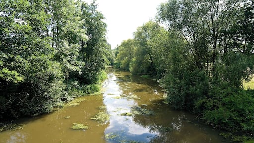 Alte Jeetzel River near Langenhorst in the district Luechow-Dannenberg in Lower Saxony, Germany.