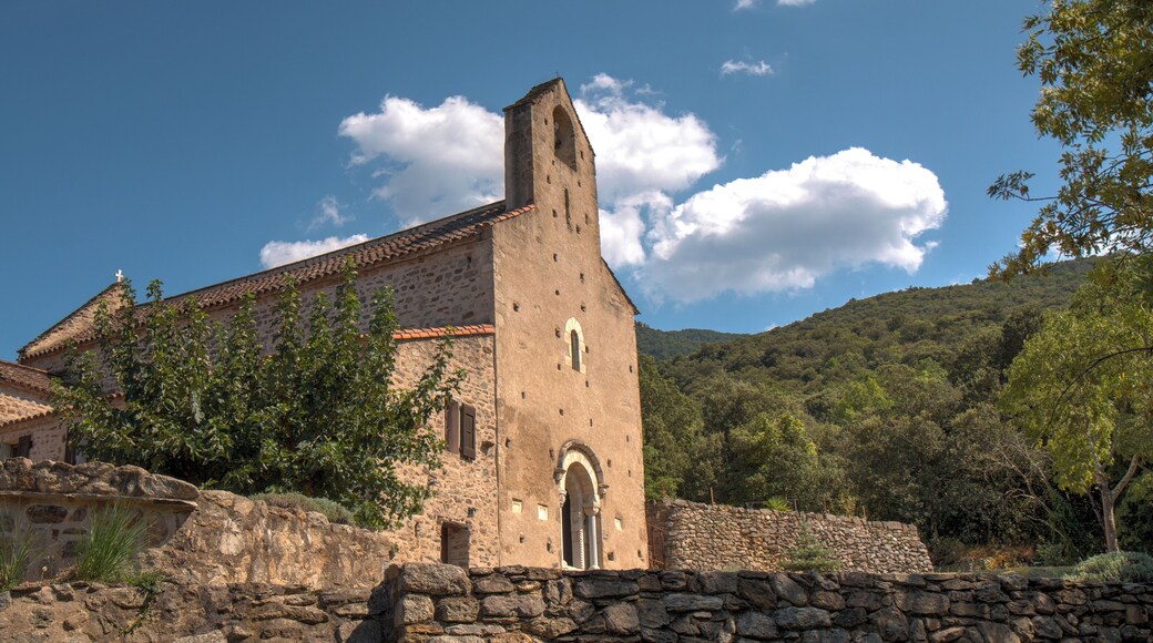 Nicely restored #monestary "Le Prieuré Santa Maria del Vilar"
#church #eglise
http://www.edelo.net/roman/images/catalan66/stamaria/texte.htm