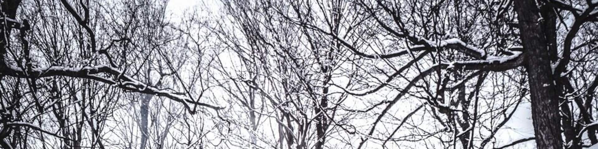 Chemin de la montagne pour monter à La Croix du mont Rougemont