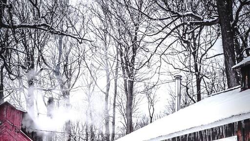 Chemin de la montagne pour monter à La Croix du mont Rougemont