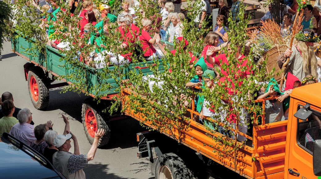 448. Wanfrieder Schützenfest 2016. Brombeermann mit Zwergen und Elfen.