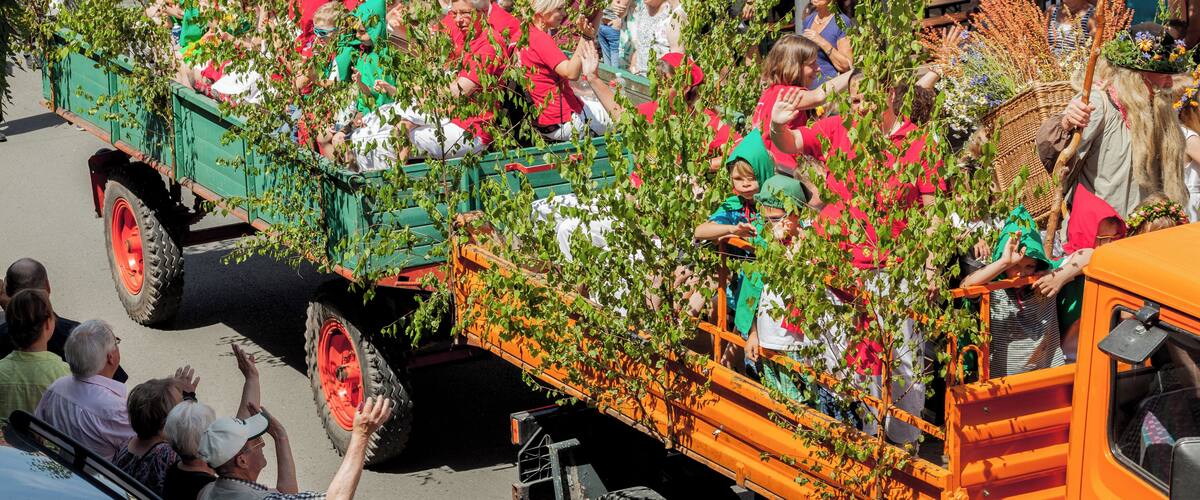 448. Wanfrieder Schützenfest 2016. Brombeermann mit Zwergen und Elfen.