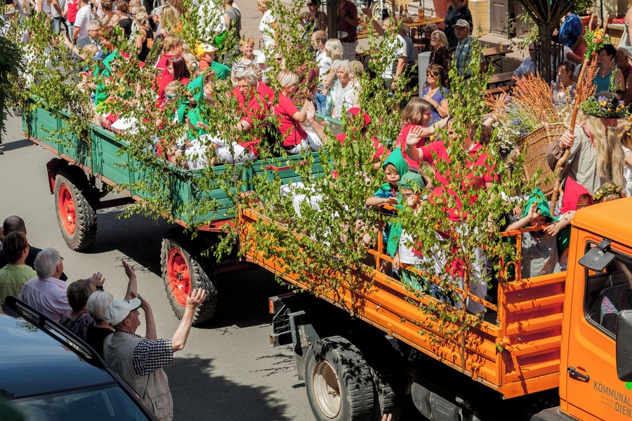 448. Wanfrieder Schützenfest 2016. Brombeermann mit Zwergen und Elfen.