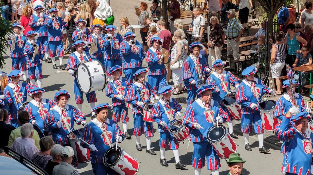 448. Wanfrieder Schützenfest 2016. VfL Wanfried Fanfarenzug.