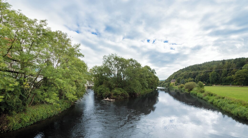 Die Werra bei Wanfried von der Wanfrieder Werrabrücke aus gesehen. Der linke Flussarm (Mühlgraben) dient zur Versorgung des Elektrizitätswerks Wanfried, dessen Gebäude im Hintergrund sichtbar ist. Vor der Insel in der Flussmitte ist ein Floß angelegt. Im linken Bildteil ist ein Teil der großen Schlagdhäuser zu sehen. Blickrichtung Süden.