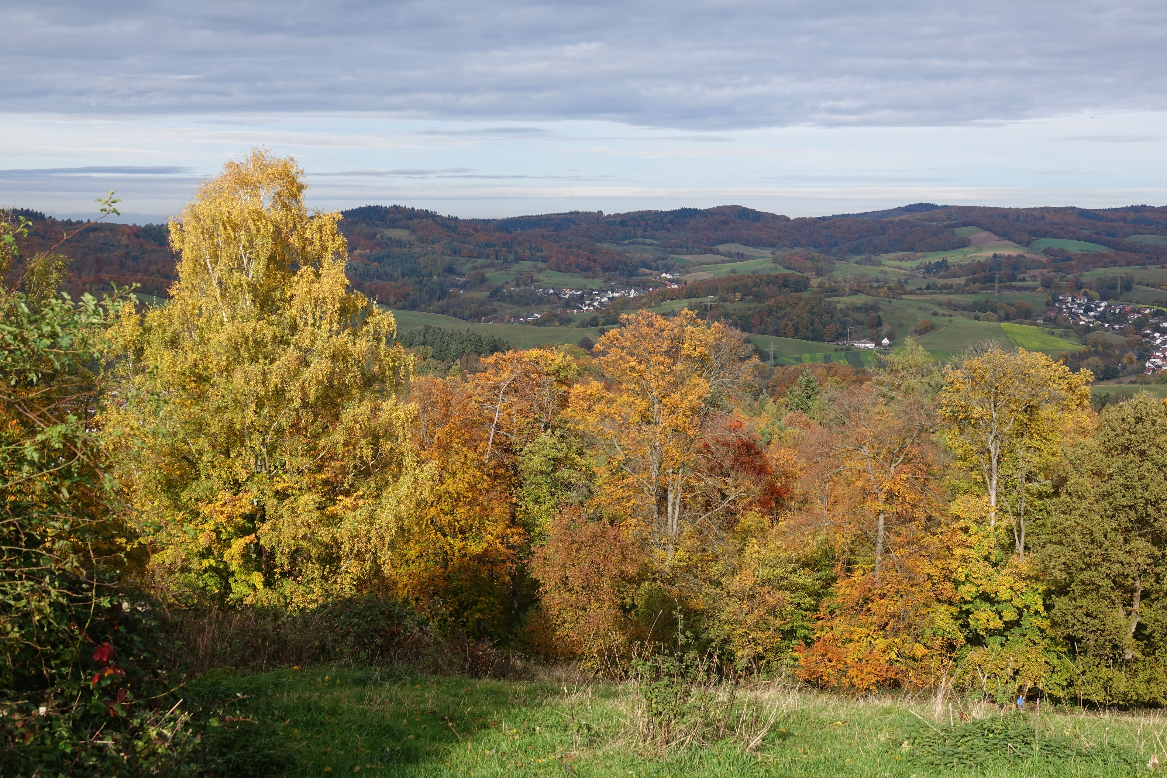 Paisagem com árvores de folhas avermelhadas, colinas ondulantes e uma aldeia ao longe.