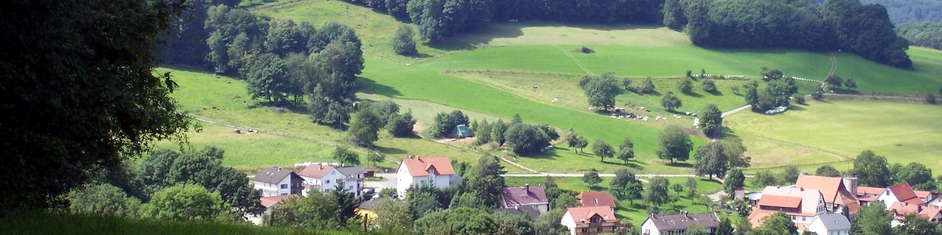 Blick über Löhrbach in die Rheinebene