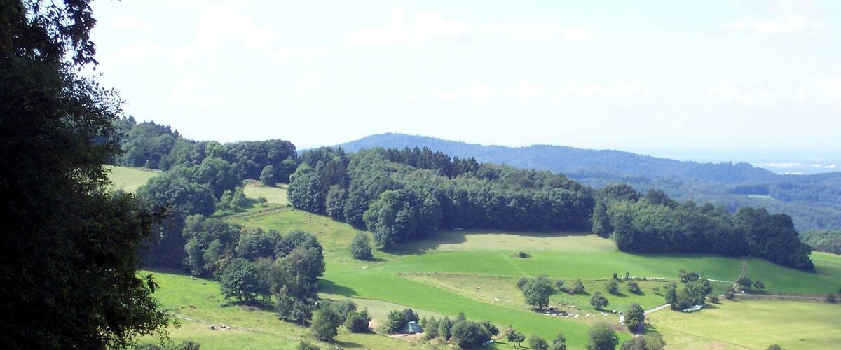 A rural landscape with rolling hills, scattered houses, and dense forests.