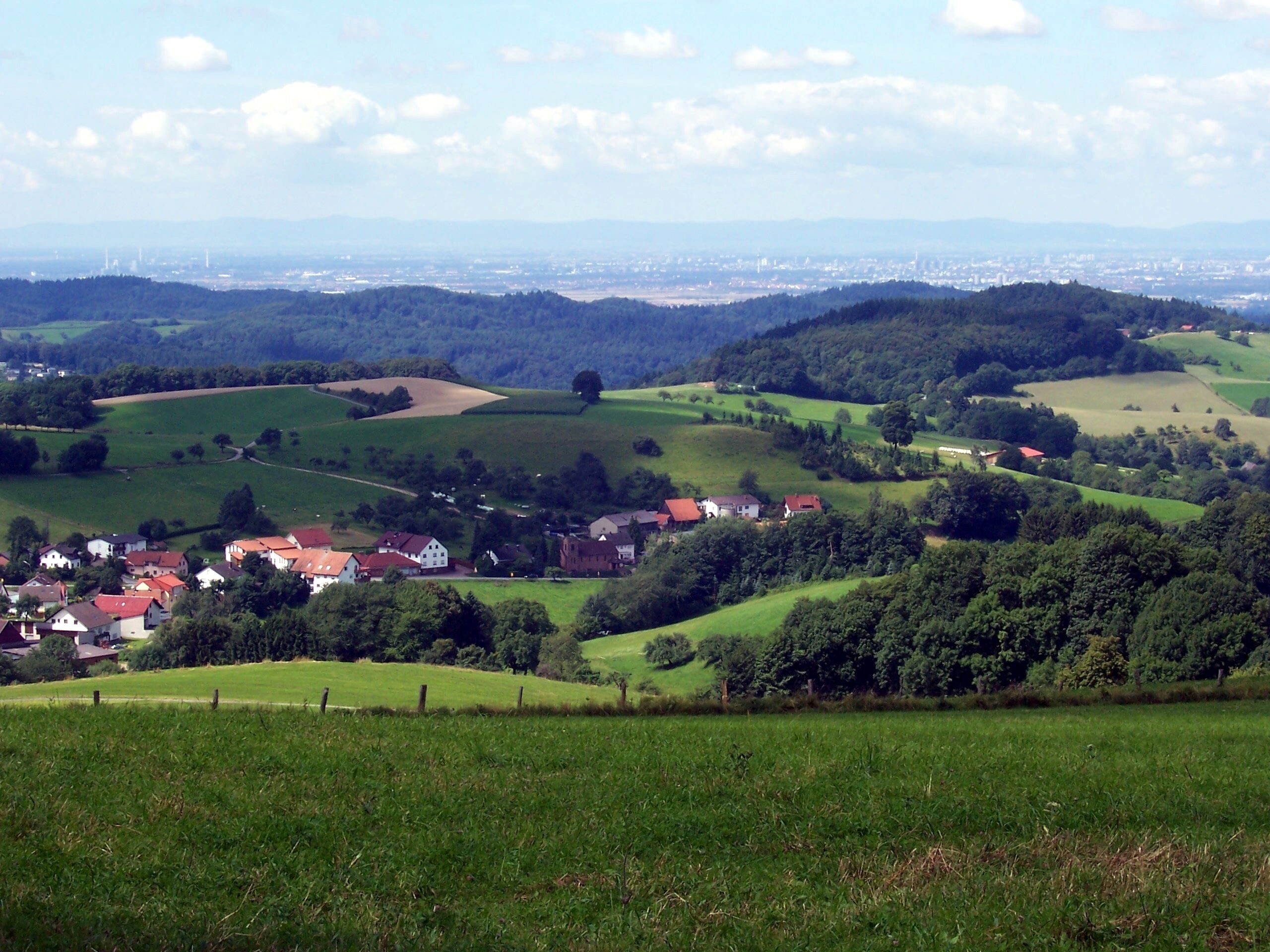 Blick über Löhrbach in die Rheinebene