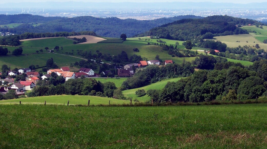 Blick über Löhrbach in die Rheinebene