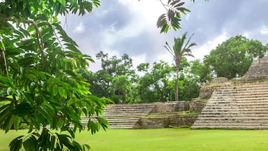 Belize, Central America, Altun Ha Temple. Web Banner.