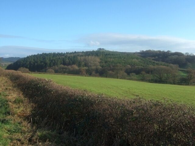 Woodland to south of Westwood Farm