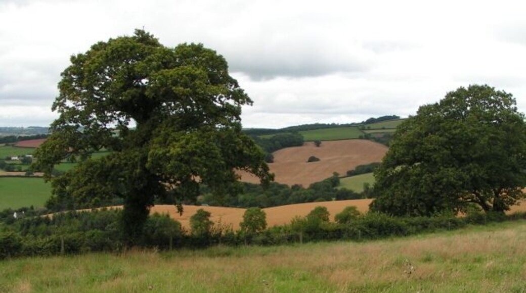 View from Raddon Hills looking north