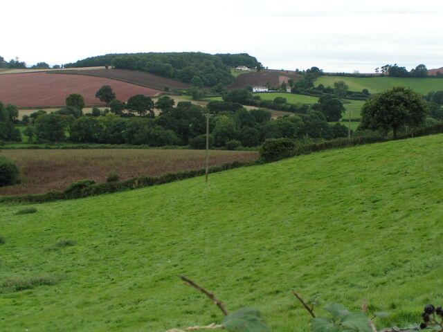 Field near Coombe Barton farm looking west