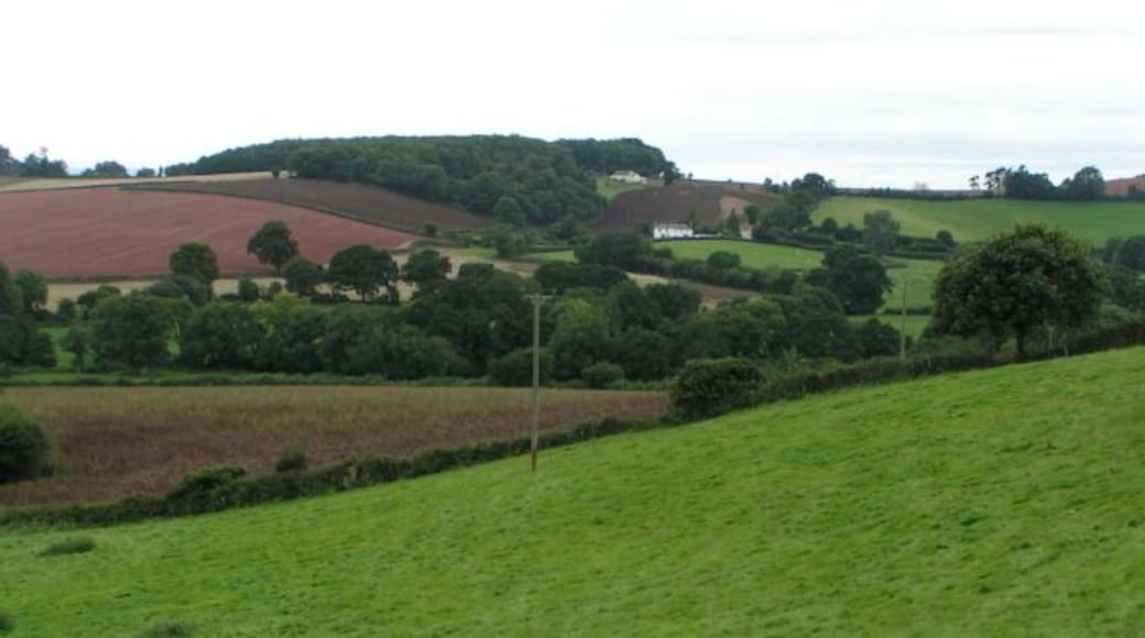 Field near Coombe Barton farm looking west