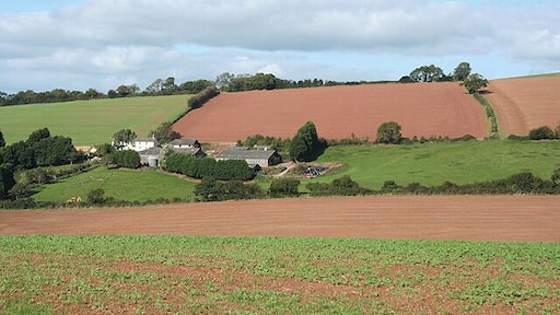 Shobrooke: towards Coombe Barton Looking north-north-west from a point near Exeter Hill Cross