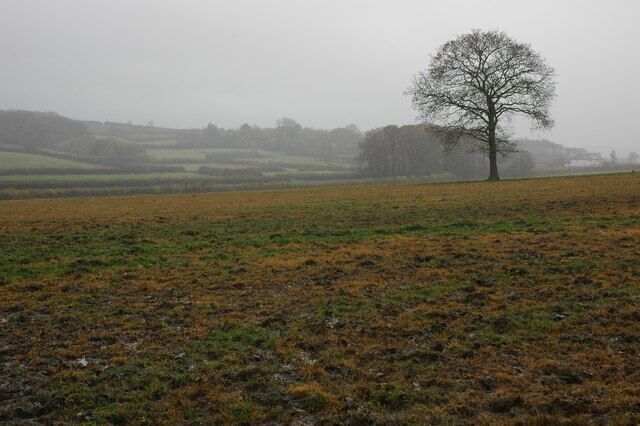 Farmland near Coildridge A view of farmland to the south of Coldridge on a dull damp day.