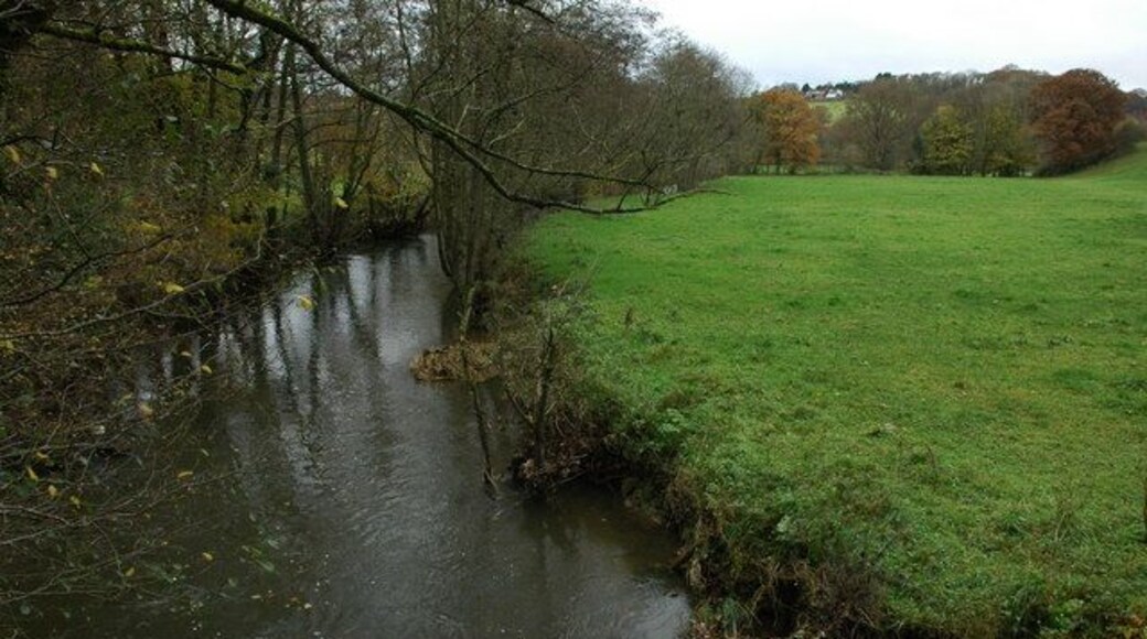 The River Taw The River Taw between the villages of Nymet Rowland and Coldridge.