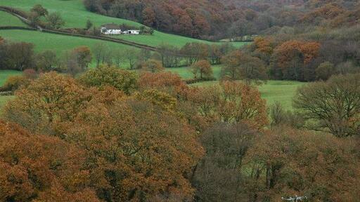 The Taw Valley The Taw Valley viewed from a footpath to the north-east of Coldridge.