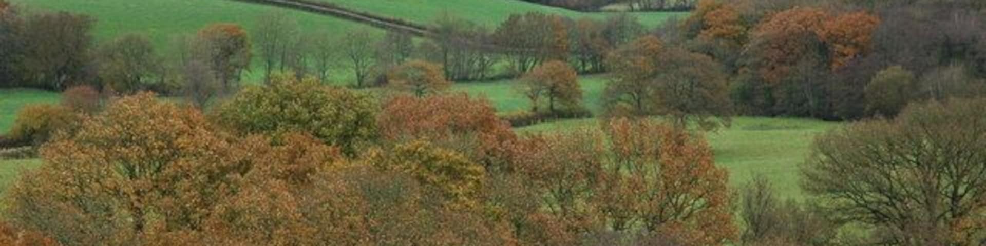 The Taw Valley The Taw Valley viewed from a footpath to the north-east of Coldridge.