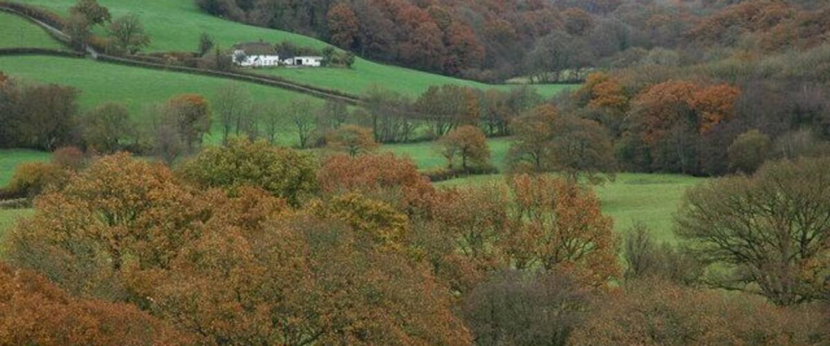 A rural landscape with rolling green fields, scattered trees, and a white house in the distance.