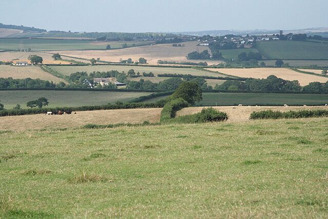 Coldridge: towards Chilverton. Looking north-north-west with Chilverton Cross by the bungalow and tree in mid-distance, left. On the hill, away to the right, in shadow, is Coldridge village