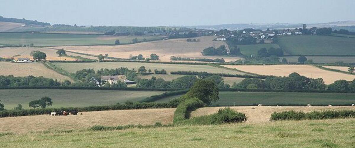Coldridge: towards Chilverton. Looking north-north-west with Chilverton Cross by the bungalow and tree in mid-distance, left. On the hill, away to the right, in shadow, is Coldridge village