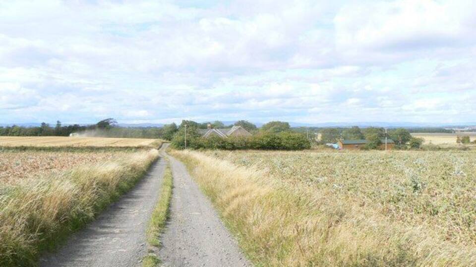A rural dirt road flanked by fields and sparse vegetation under a partly cloudy sky.