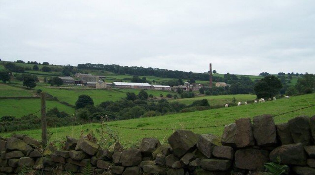 View from Storrs to Stopes. Dyson's Factory, Broad Oak House and Underbank Day and Sunday School can all be seen in this view. 972465 972457 972447