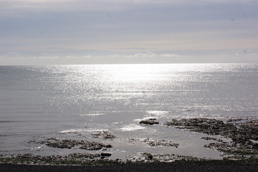 Silver shores