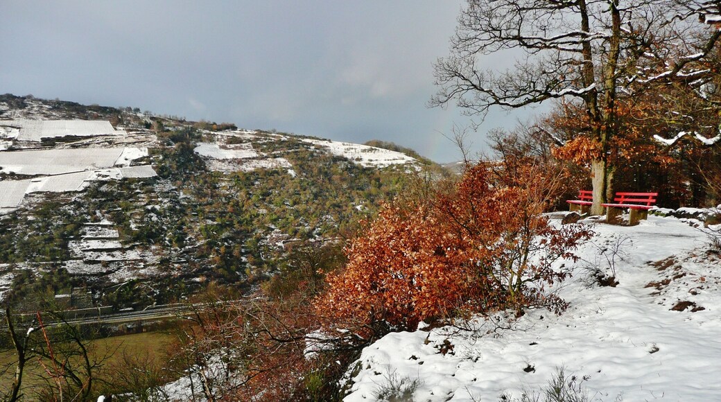 Blick vom Rheinsteig Richtung Nordwesten