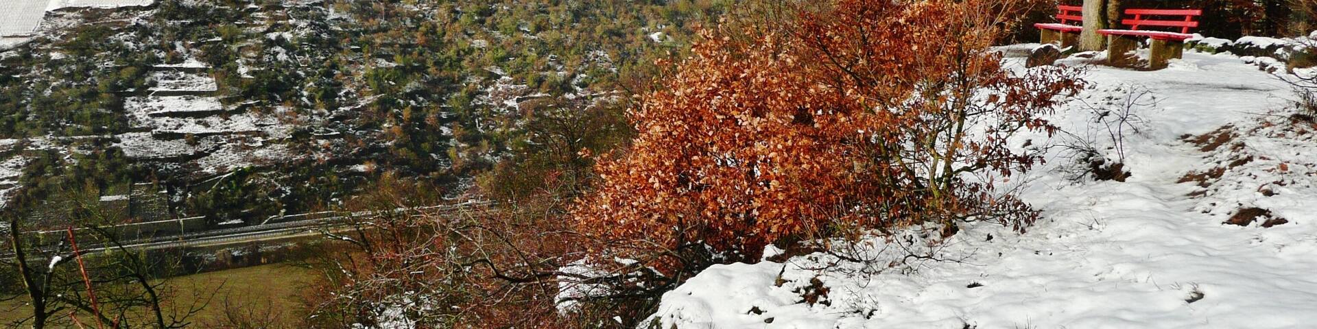 Blick vom Rheinsteig Richtung Nordwesten