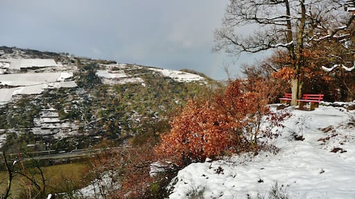 Blick vom Rheinsteig Richtung Nordwesten