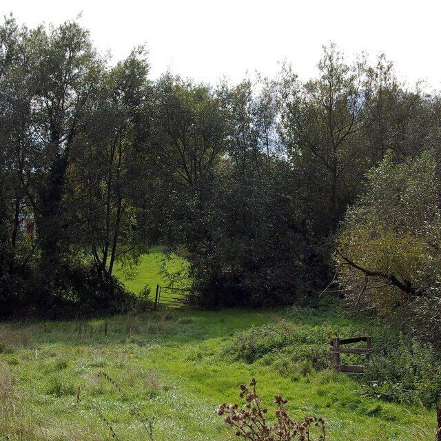 Three Decades On. This picture was taken 31 years after 69302 the growth of trees has made it impossible to recreate the image exactly but you can see from the colour of the grass they dont make droughts like they used to! The fence on the left protects a well that fed (or may be still feeds) the house behind the trees.