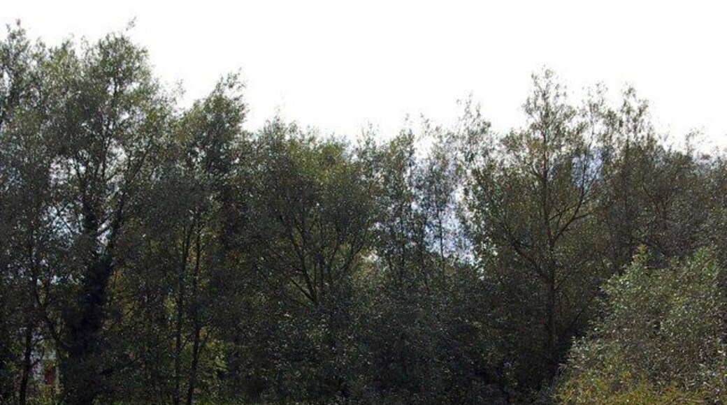 Three Decades On. This picture was taken 31 years after 69302 the growth of trees has made it impossible to recreate the image exactly but you can see from the colour of the grass they dont make droughts like they used to! The fence on the left protects a well that fed (or may be still feeds) the house behind the trees.