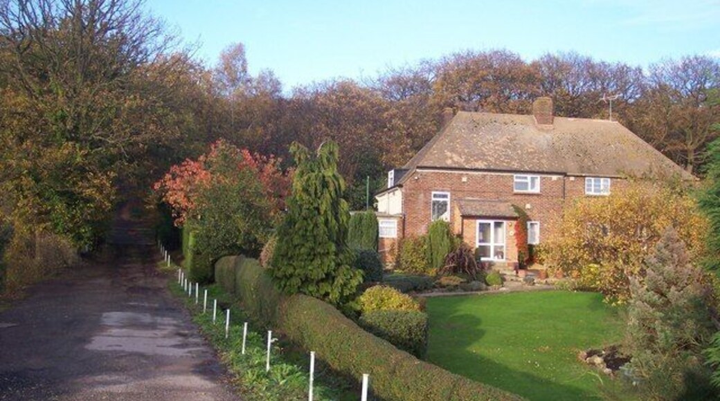 New Road near Church Wood Cottages This track leads from the A2 Dual Carriageway through Church Wood and Blean Woods towards Rough Common. It is also used by a footpath.