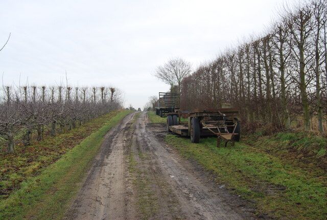 Farm machinery by the track through an orchard