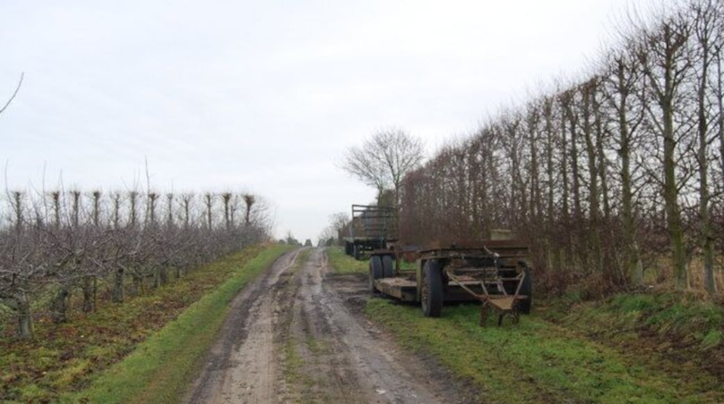 Farm machinery by the track through an orchard