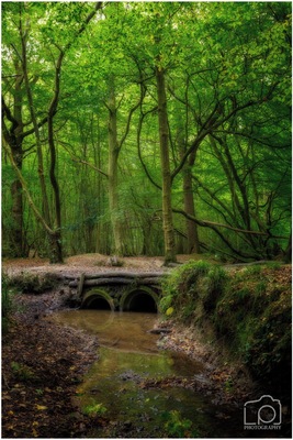 Spent the day trying to do #woodland #photography at #blean #woods near #canterbury watch the vlog here
https://youtu.be/muRLD9Nq--8