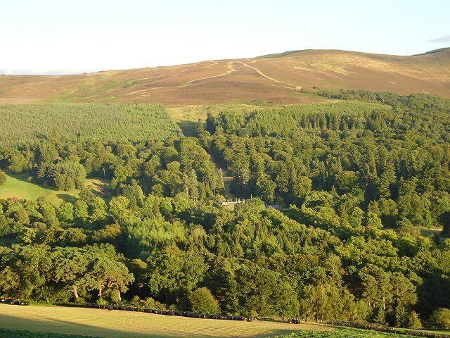Dawyck. Another view from near Altarstone. This time in evening light. The gardens are amongst the woodlands around the house.