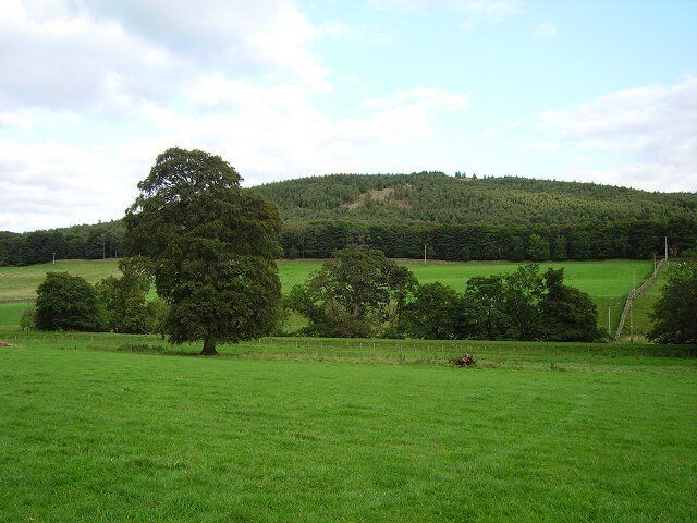 Tortie Knowe. Wooded south side of Tweeddale. In the middle distance is the embankment of a disused railway.