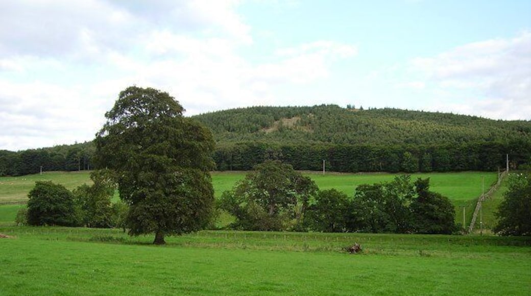 Tortie Knowe. Wooded south side of Tweeddale. In the middle distance is the embankment of a disused railway.