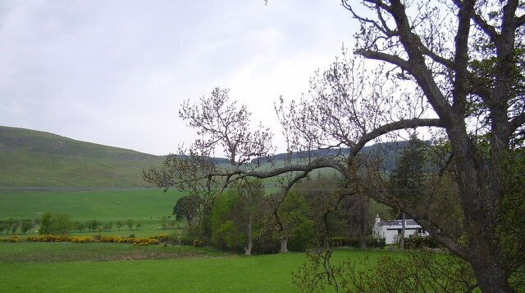 Lonely cottage in Manor valley Idyllic peaceful place on the road to Cade Muir.