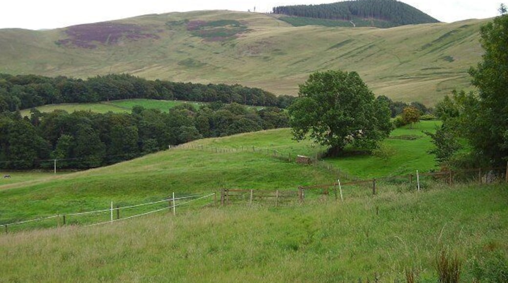 Caverhill. View over to Cademuir. The old map shows that there was a sanatorium at Caverhill. A chilling reminder of the past in a week where incurable TB was a major news item.
