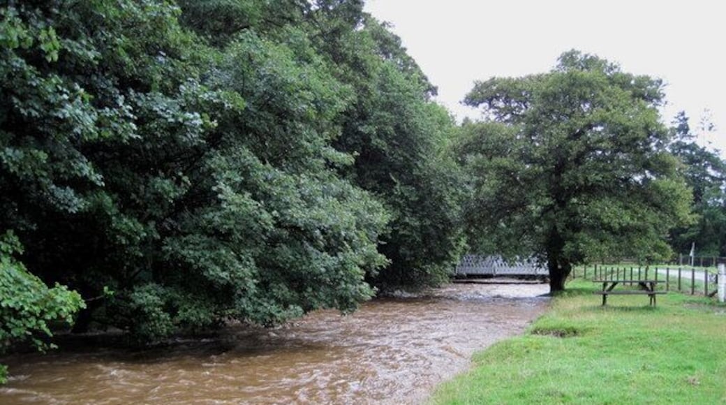 Manor Water in spate near Kirkton. After several days of intermittent rain culminating in a wet night, the water level is not very far below the bank which protects the road on the right. Compare with 1197956.